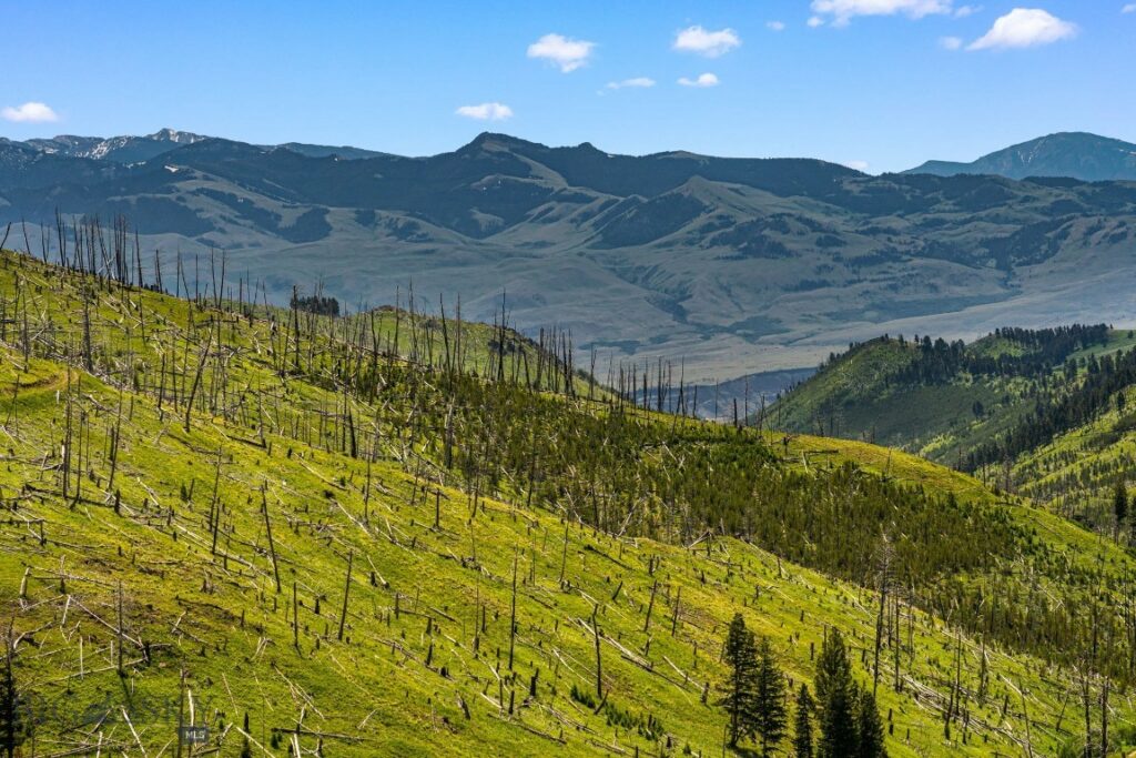 NHN Peak Point Drive, Livingston MT 59047