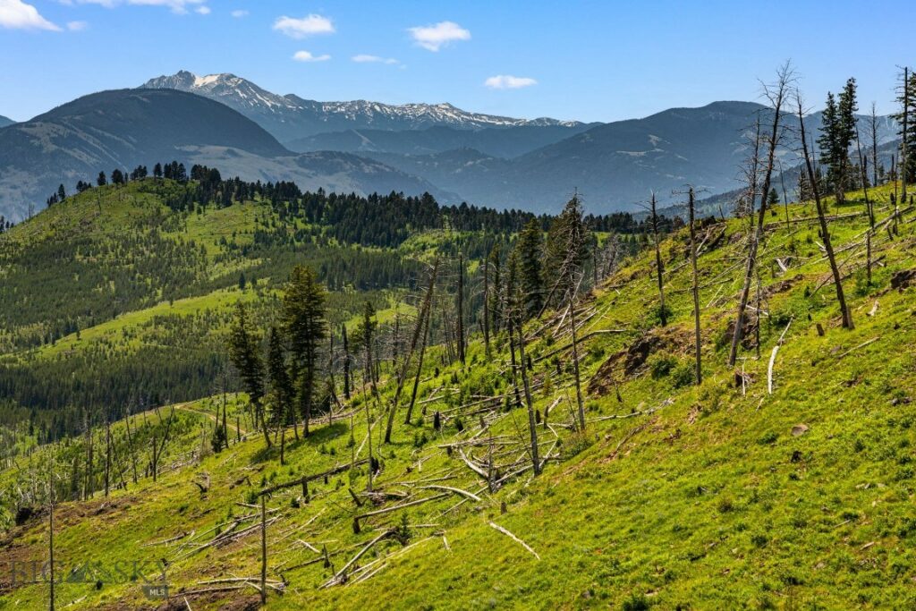 NHN Peak Point Drive, Livingston MT 59047
