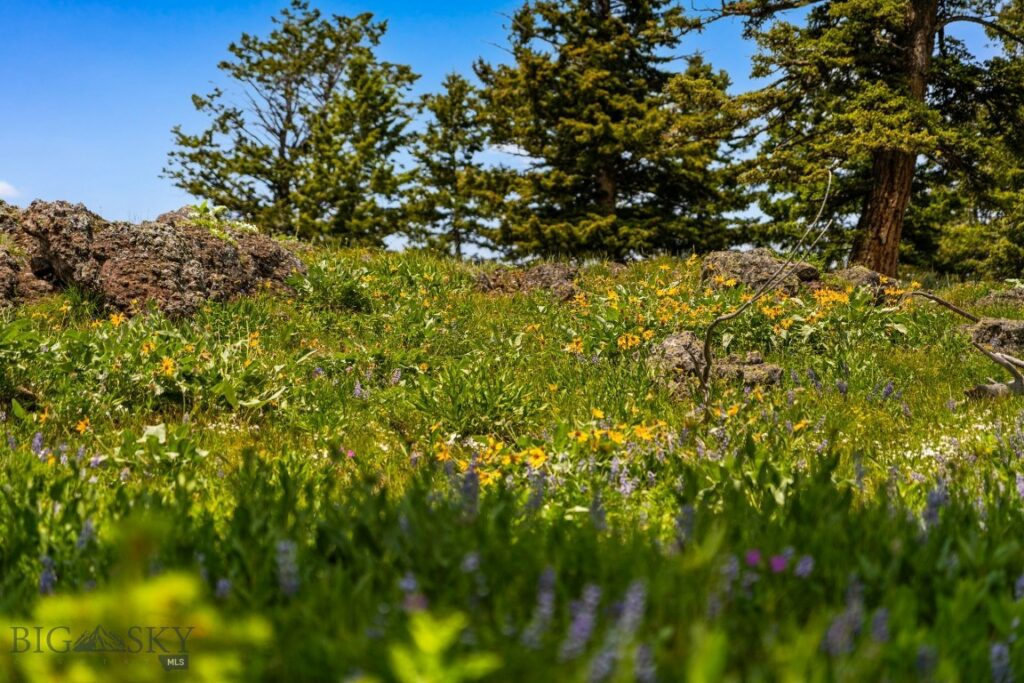 NHN Peak Point Drive, Livingston MT 59047