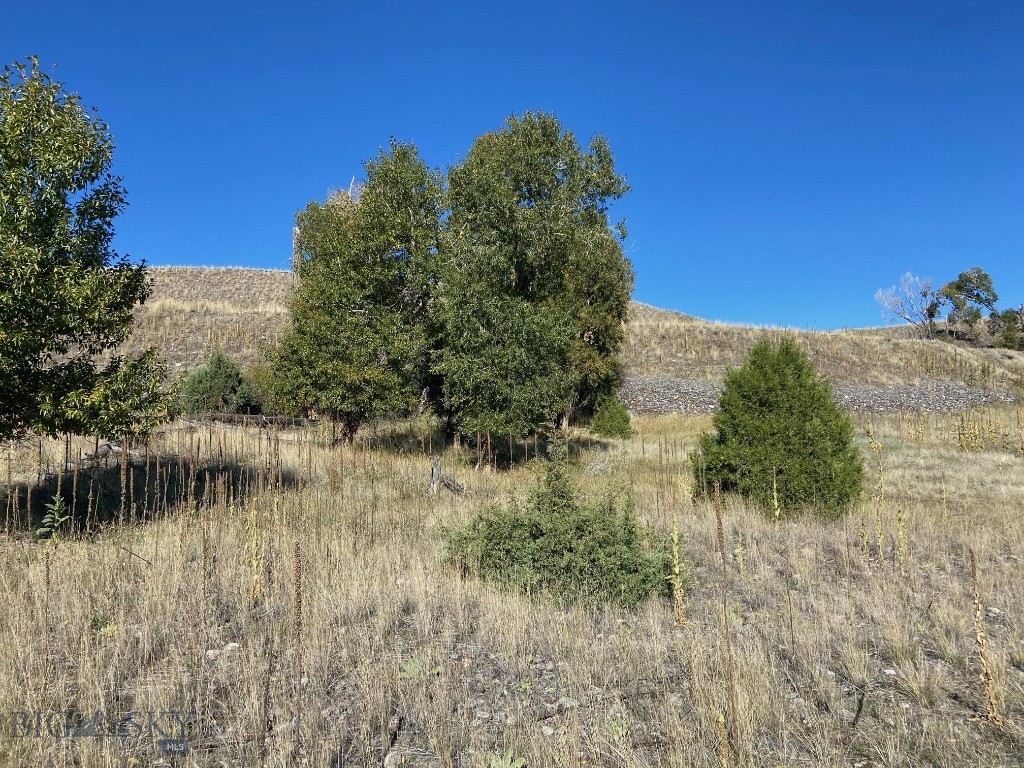 NHN Run Way Lane, Livingston MT 59047