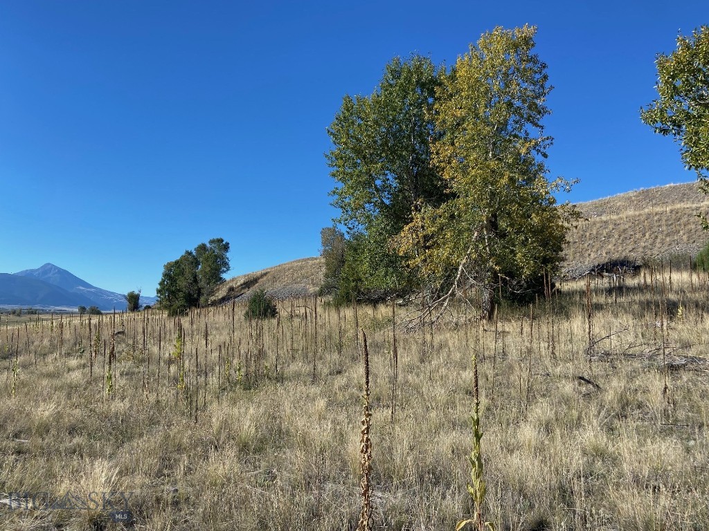 NHN Run Way Lane, Livingston MT 59047