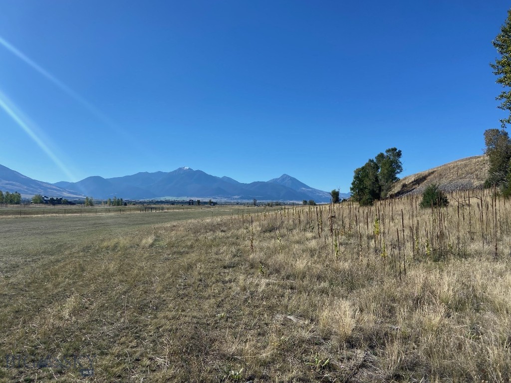 NHN Run Way Lane, Livingston MT 59047