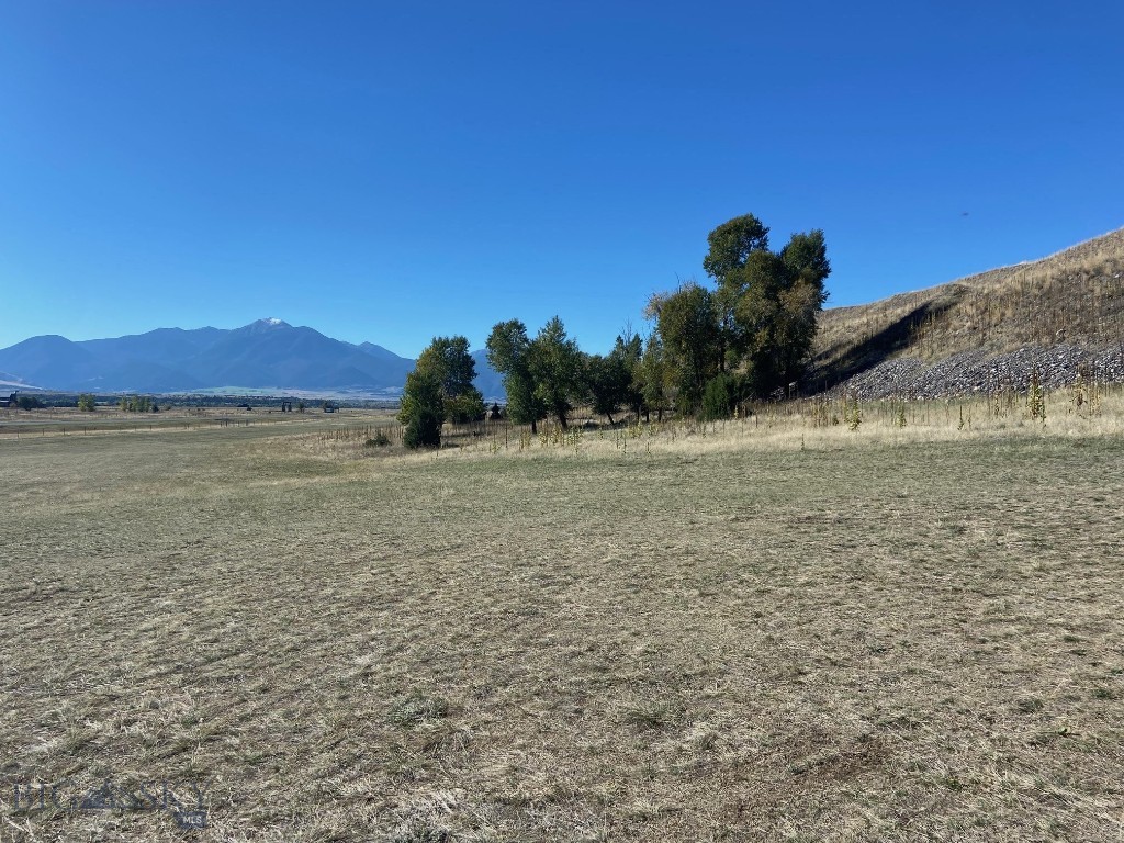 NHN Run Way Lane, Livingston MT 59047