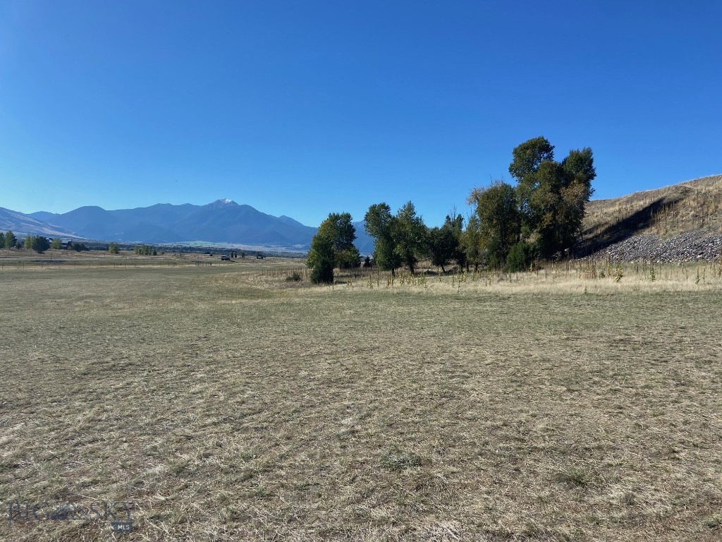 NHN Run Way Lane, Livingston MT 59047
