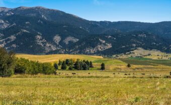 NHN Springhill Road, Bozeman MT 59715