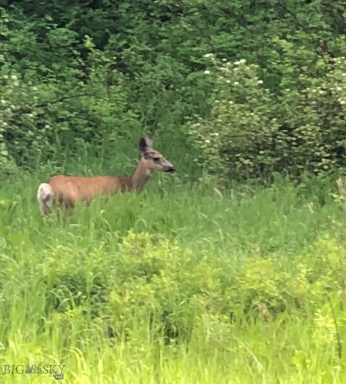 9775 Bridger Canyon Road, Bozeman MT 59715