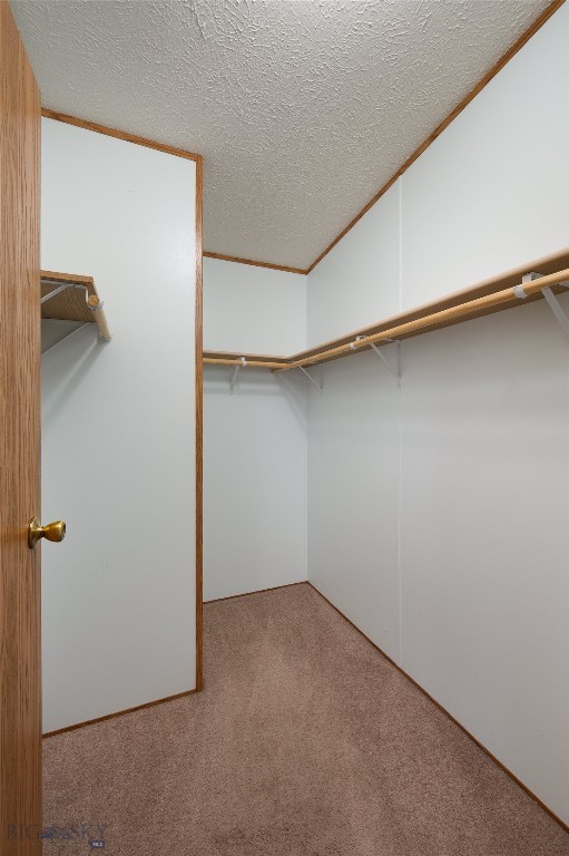 148 Green Tree, Belgrade MT 59714