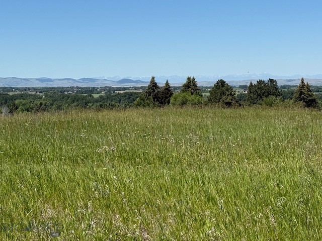 NHN Trooper Trail, Bozeman MT 59718