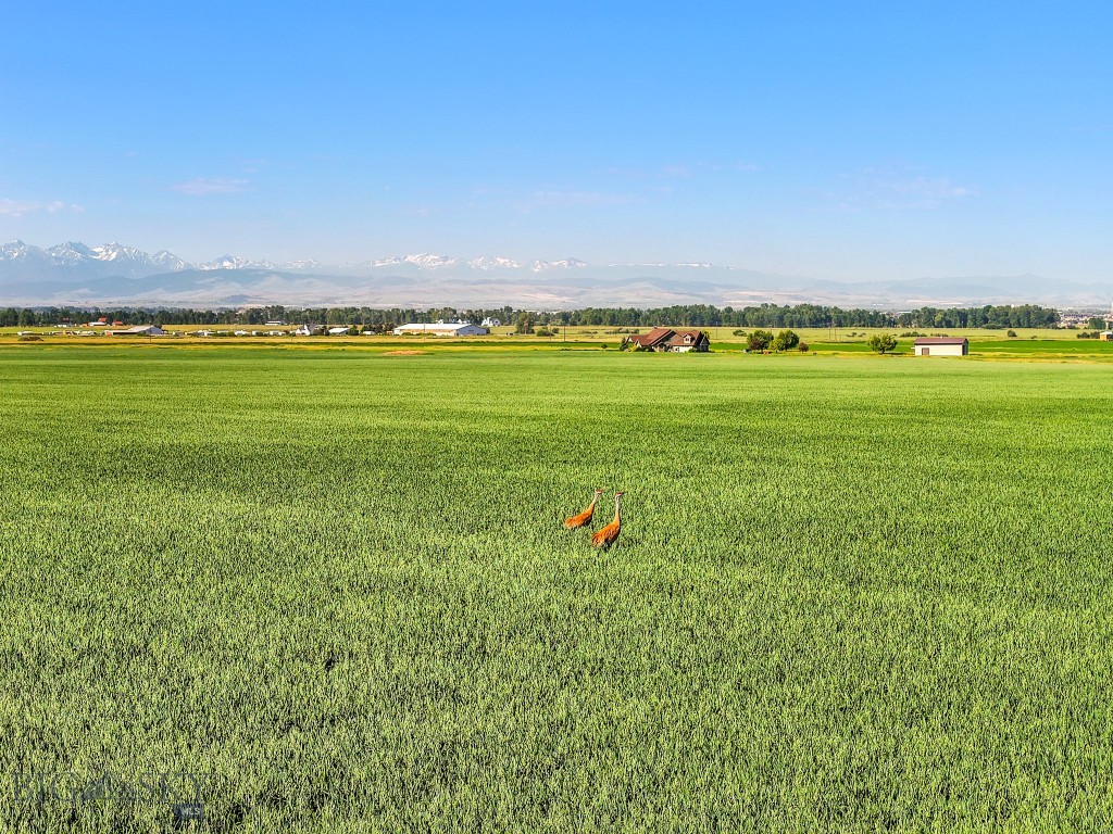 TBD Penwell Bridge Road, Belgrade MT 59714