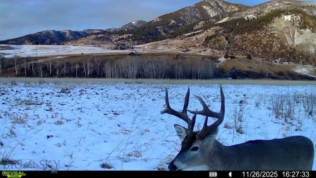 3592 Bridger Canyon Road, Bozeman MT 59715