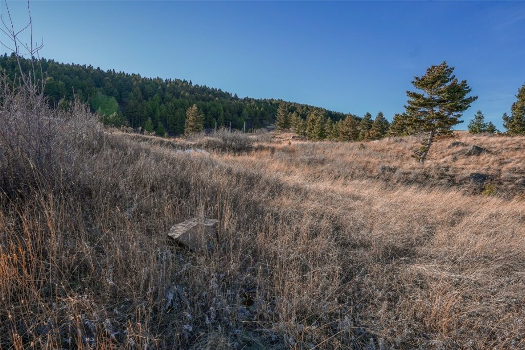 129A Elk Meadows, Livingston MT 59047