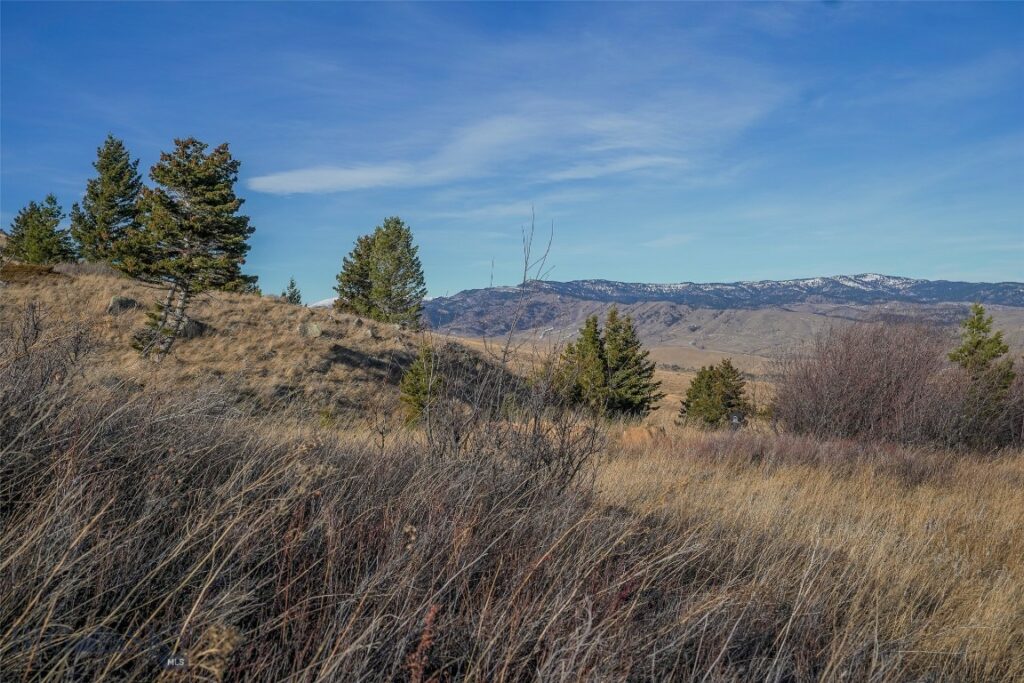 129A Elk Meadows, Livingston MT 59047