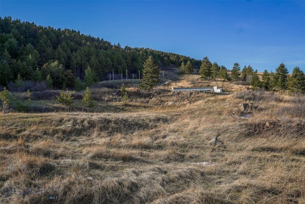 129A Elk Meadows, Livingston MT 59047