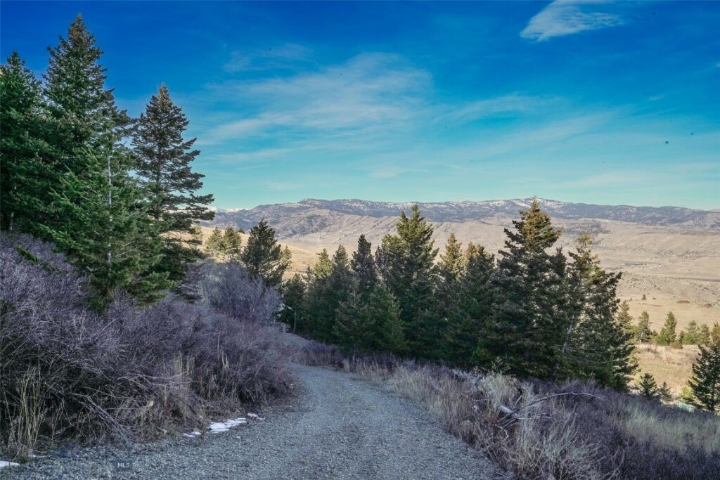129A Elk Meadows, Livingston MT 59047