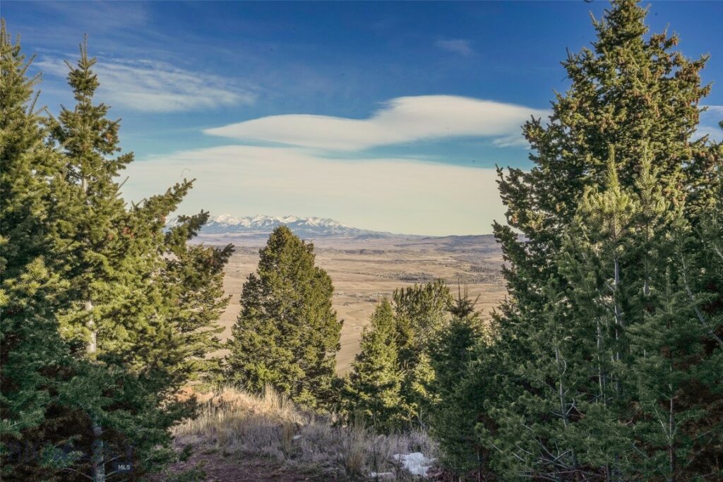 129A Elk Meadows, Livingston MT 59047