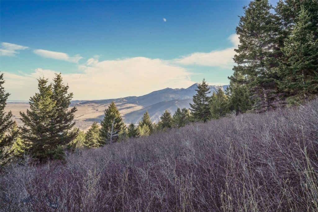 129A Elk Meadows, Livingston MT 59047