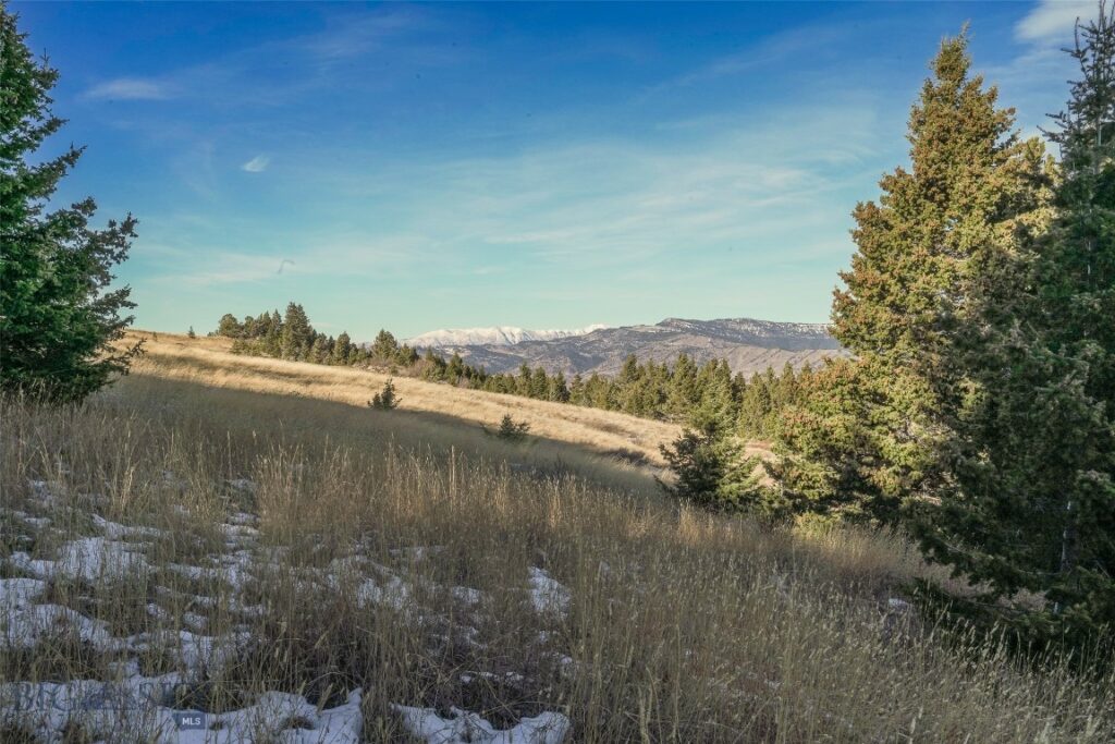 129A Elk Meadows, Livingston MT 59047
