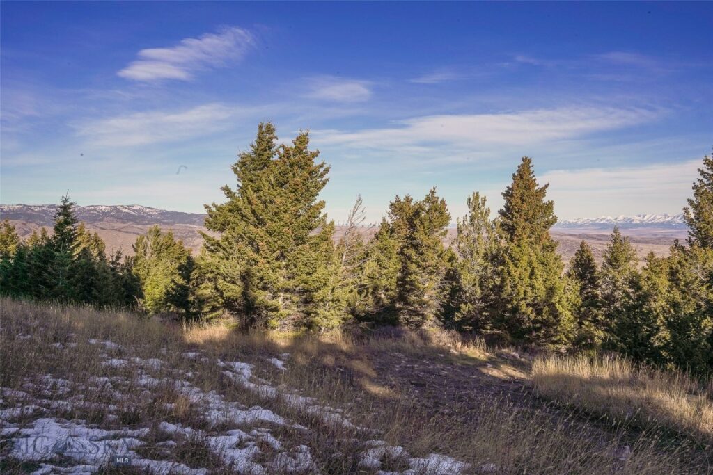 129A Elk Meadows, Livingston MT 59047