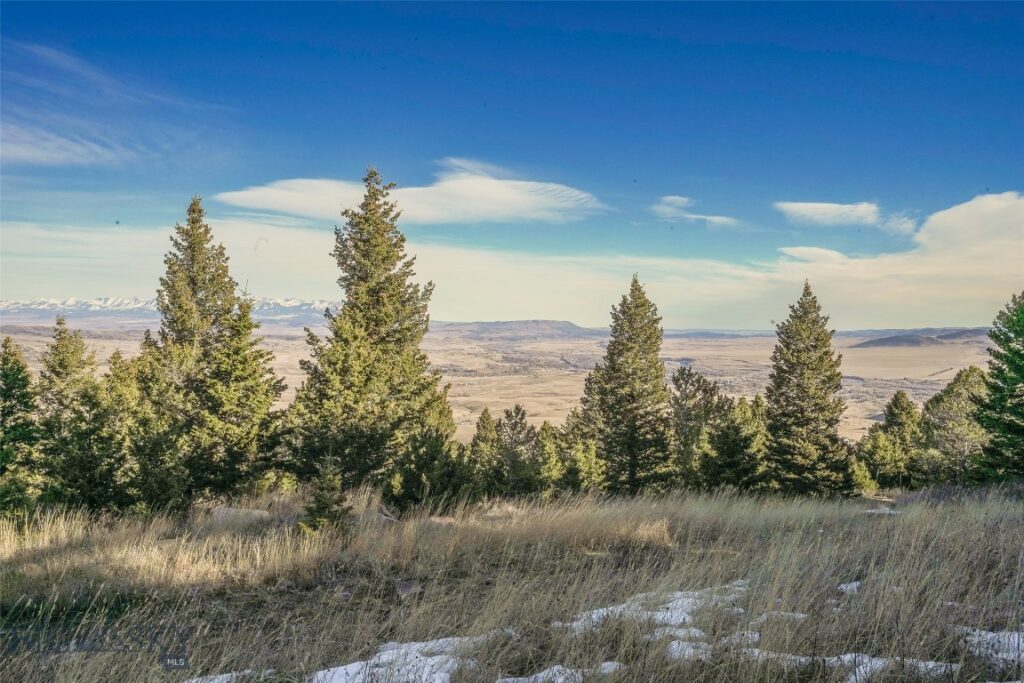 129A Elk Meadows, Livingston MT 59047
