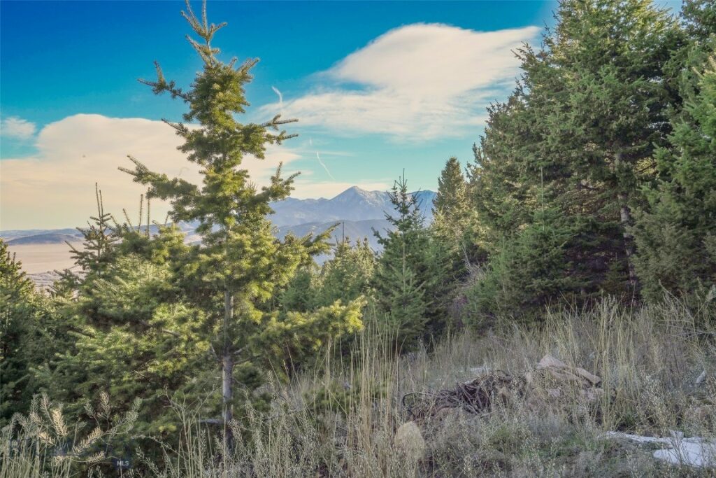 129A Elk Meadows, Livingston MT 59047