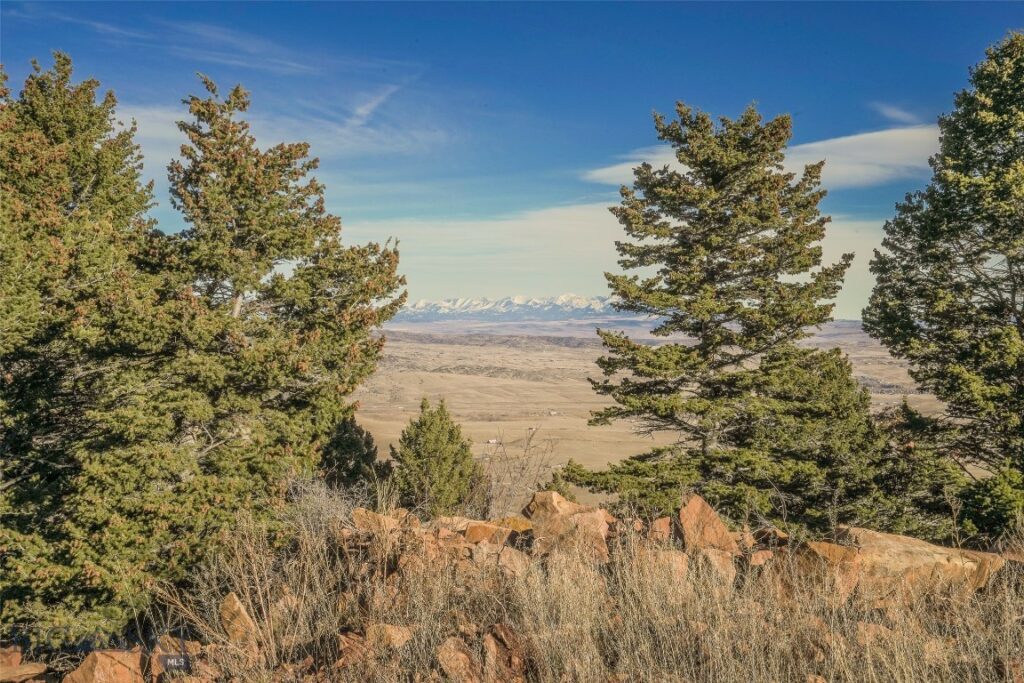 129A Elk Meadows, Livingston MT 59047