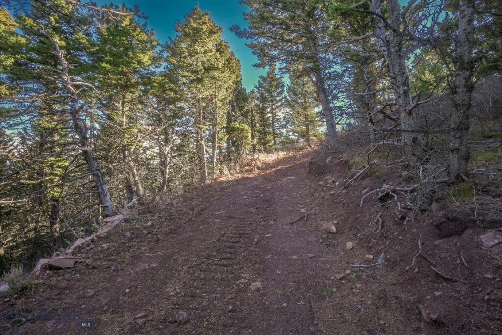 129A Elk Meadows, Livingston MT 59047