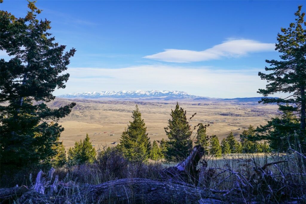 129A Elk Meadows, Livingston MT 59047