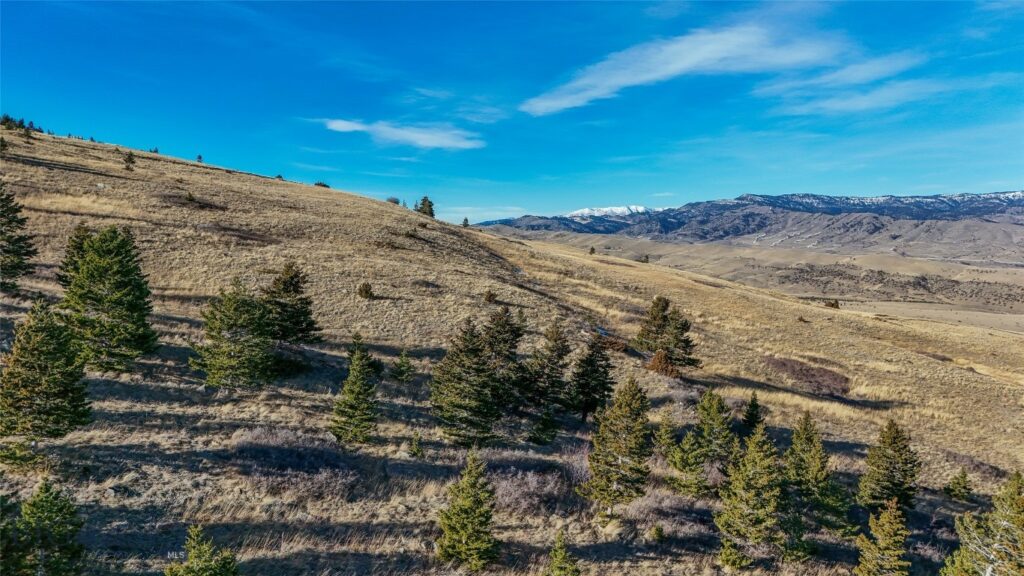 129A Elk Meadows, Livingston MT 59047