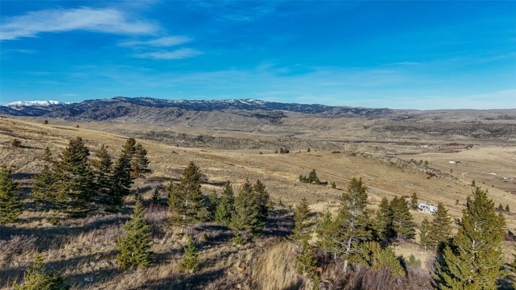 129A Elk Meadows, Livingston MT 59047