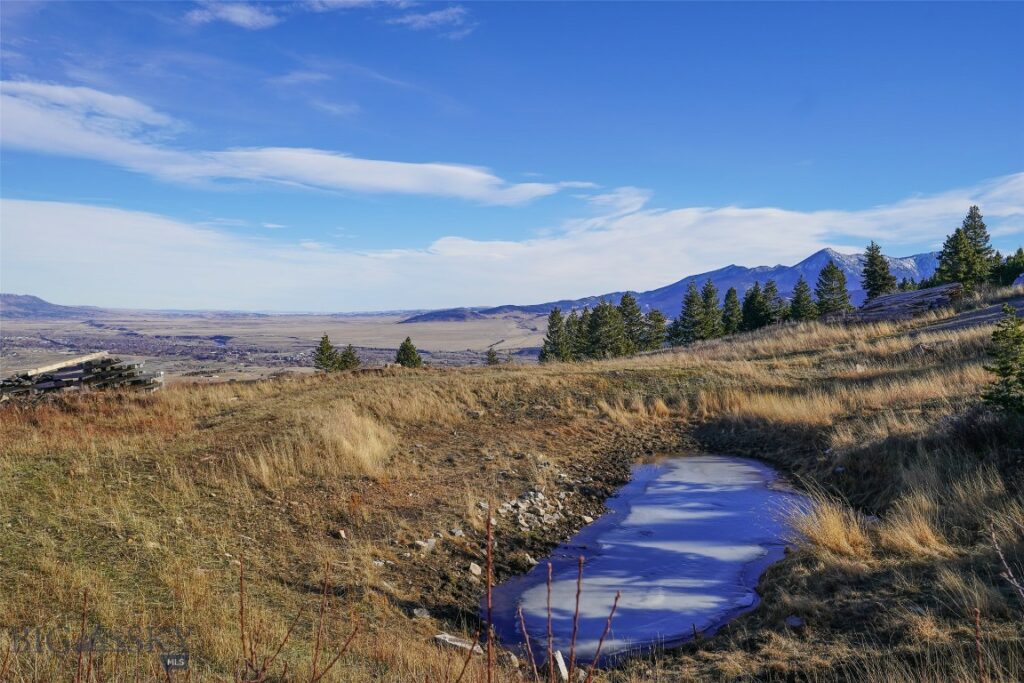 129A Elk Meadows, Livingston MT 59047