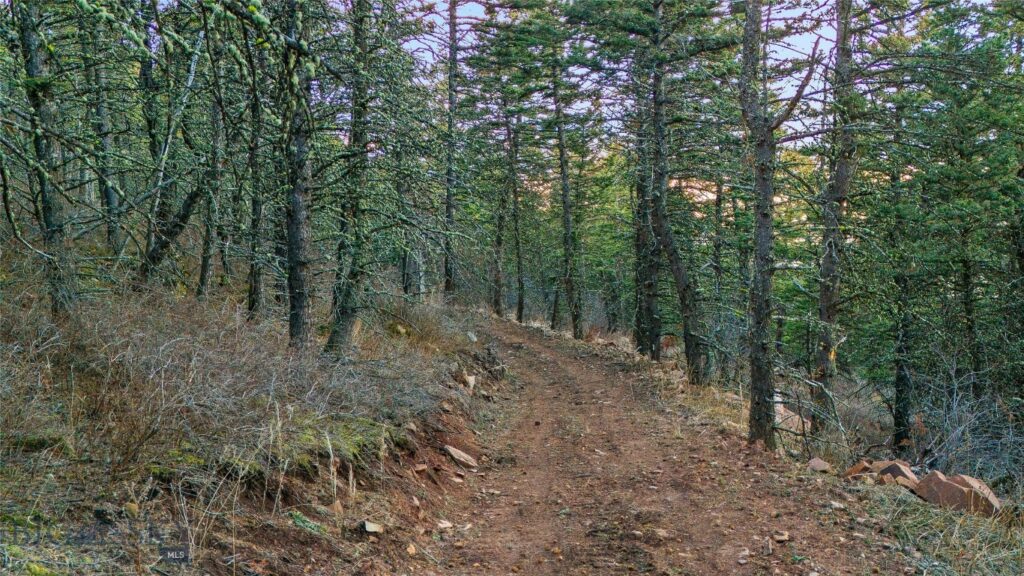 129A Elk Meadows, Livingston MT 59047