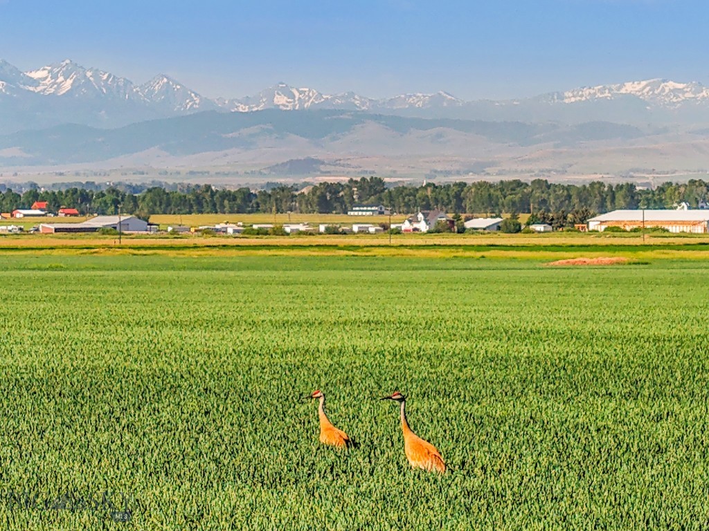 TBD Penwell Bridge Road, Belgrade MT 59714