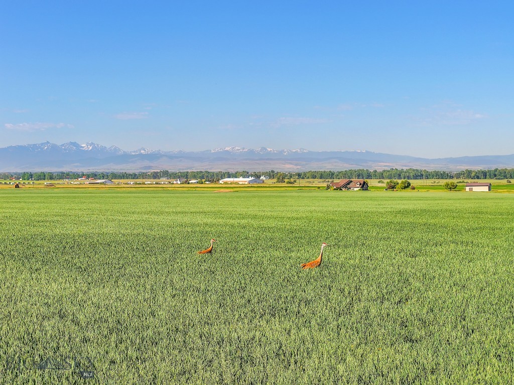 TBD Penwell Bridge Road, Belgrade MT 59714