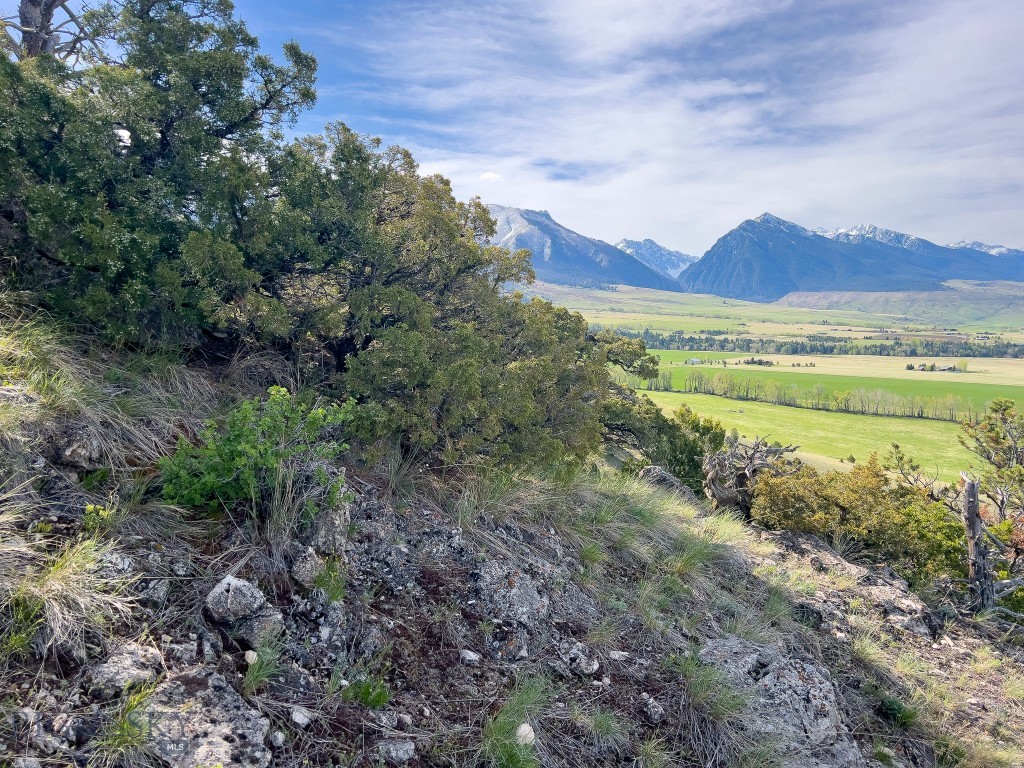 NHN Suce Creek Road, Livingston MT 59047