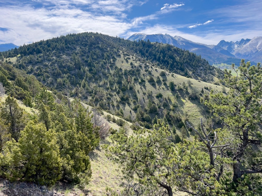 NHN Suce Creek Road, Livingston MT 59047