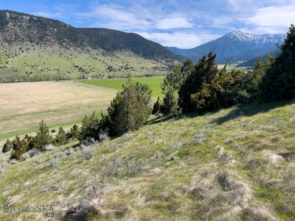 NHN Suce Creek Road, Livingston MT 59047