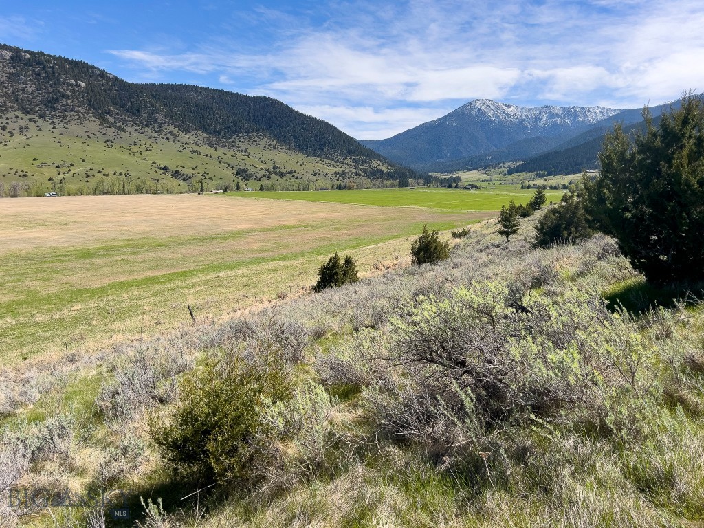 NHN Suce Creek Road, Livingston MT 59047