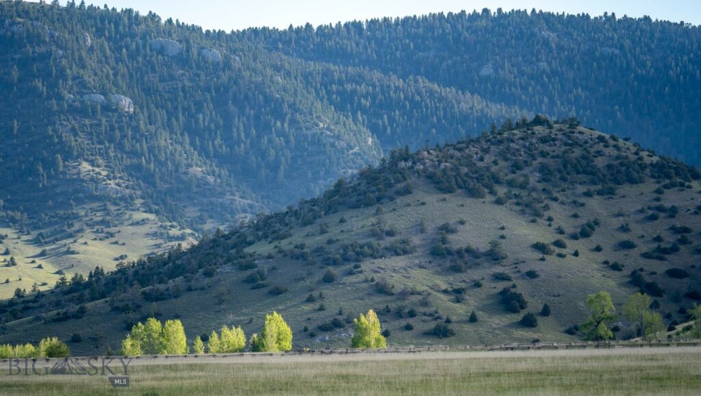 NHN Suce Creek Road, Livingston MT 59047