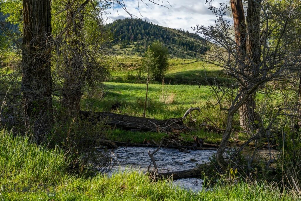 NHN Suce Creek Road, Livingston MT 59047