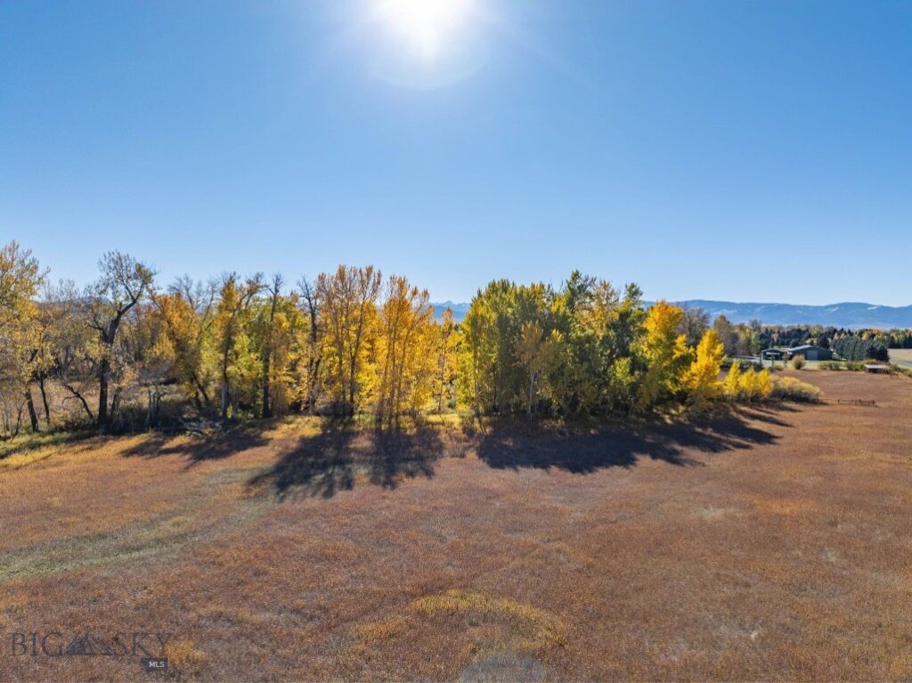 3 Mallard Lane, Bozeman MT 59718