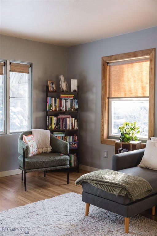 1232 N 8th Avenue, Bozeman MT 59715