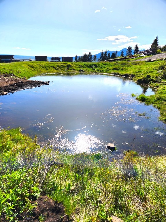TBD Elk Meadows, Lot 129A, Livingston MT 59047