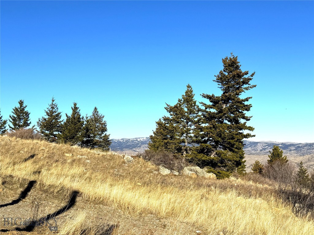 TBD Elk Meadows, Lot 129A, Livingston MT 59047