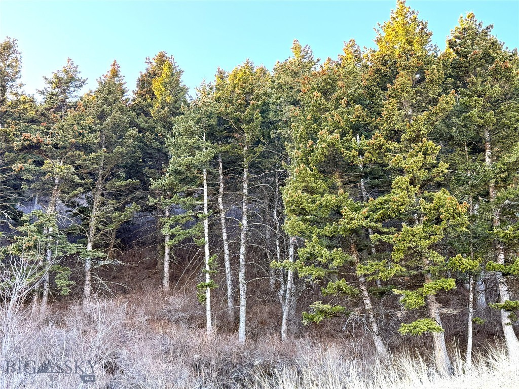 TBD Elk Meadows, Lot 129A, Livingston MT 59047