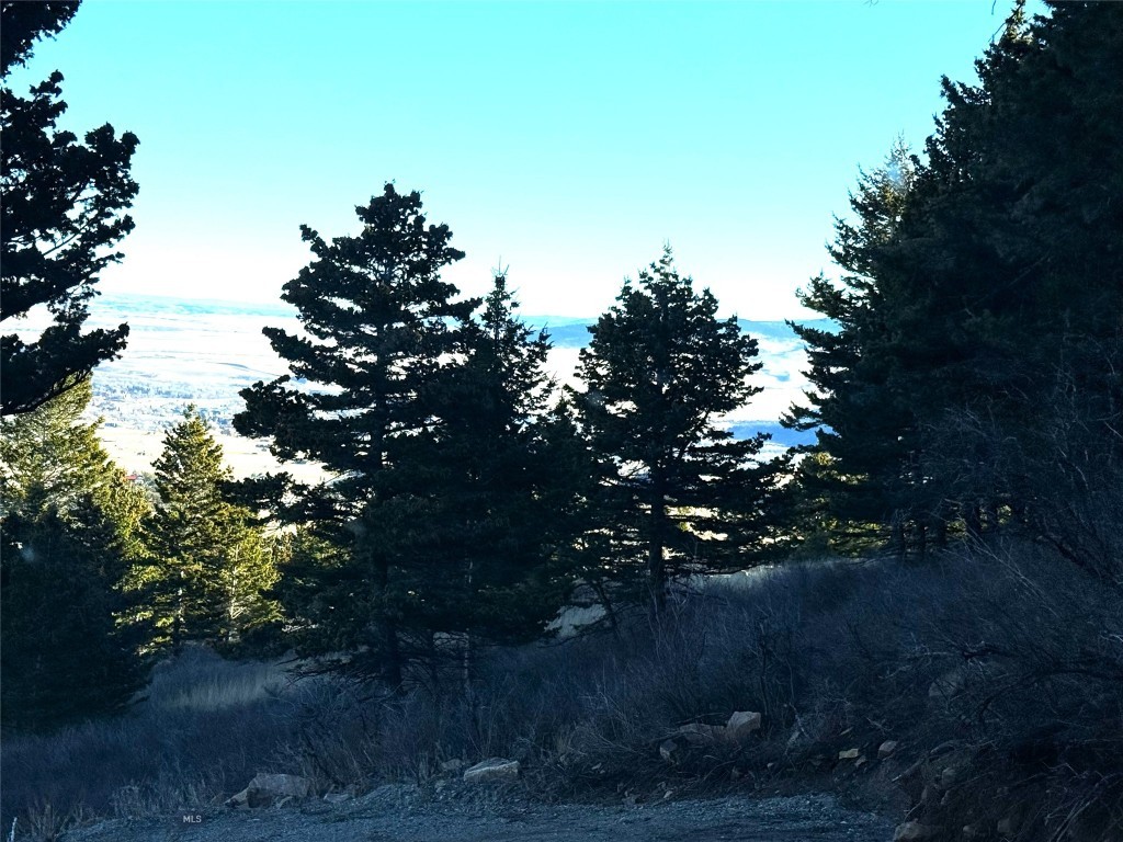TBD Elk Meadows, Lot 129A, Livingston MT 59047