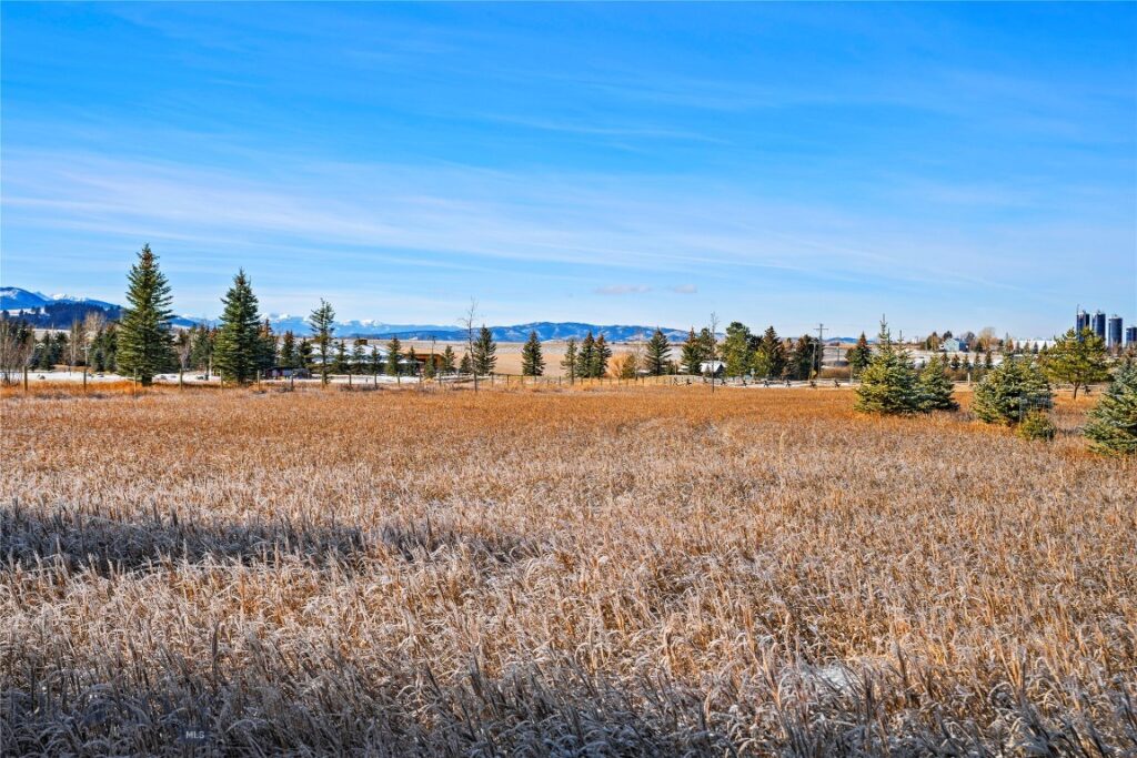 NHN Pheasant Dr, Bozeman MT 59718