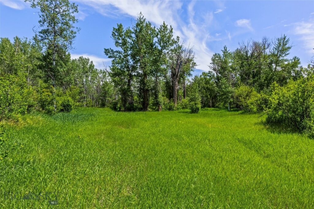 65 Rocky Creek Lane, Livingston MT 59047