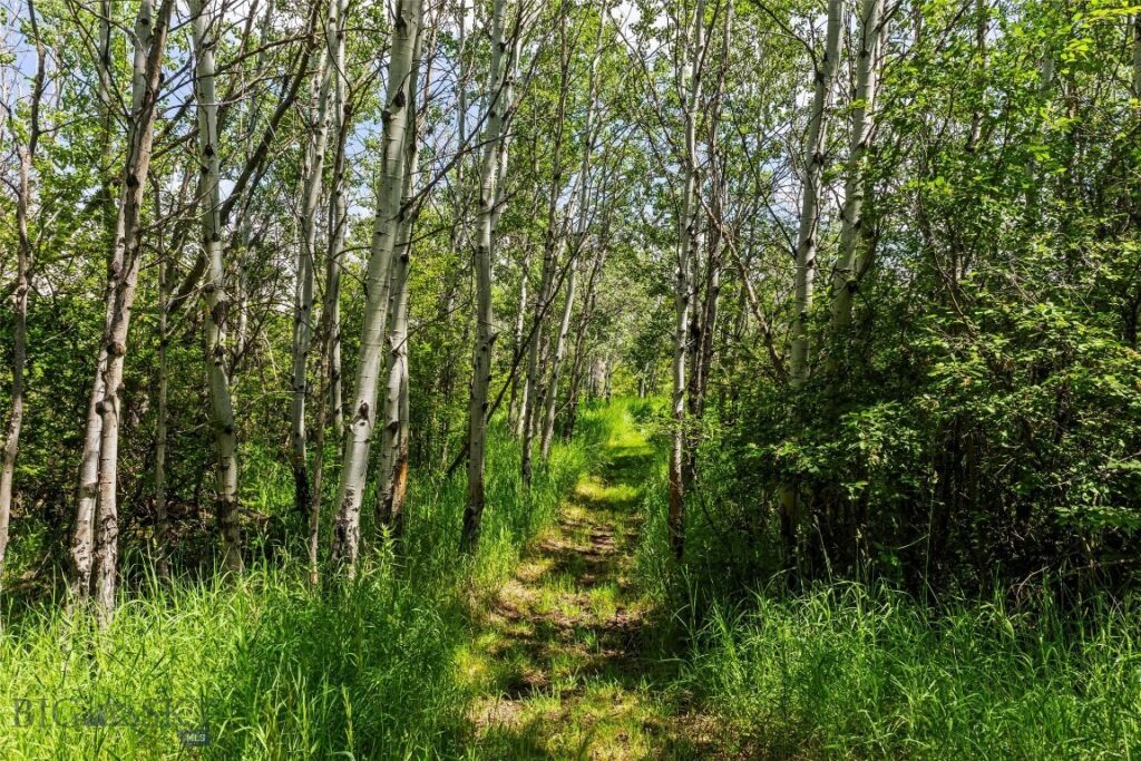 65 Rocky Creek Lane, Livingston MT 59047