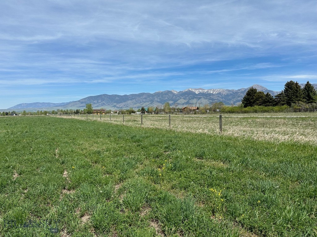 TBD Springhill, Belgrade MT 59714