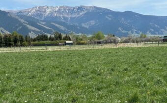 TBD Springhill, Belgrade MT 59714